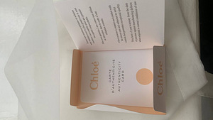 Очки солнцезащитные CHLOE (3 фото из 9)