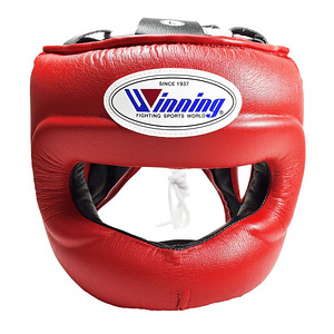 Winning Boxing (1 фото из 2)