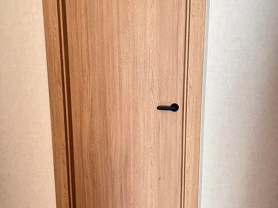 Дверное полотно