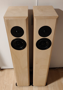 Напольные динамики (3 фото из 10)