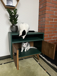 Шкаф (3 фото из 3)