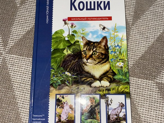 Книга для детей про породы котов