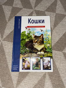 Книга для детей про породы котов (1 фото из 3)