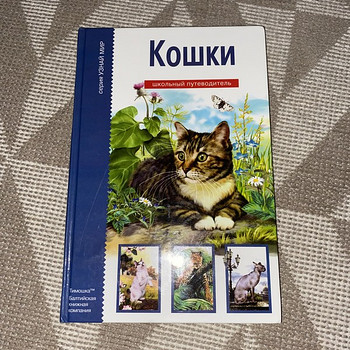 Книга для детей про породы котов