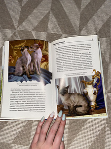 Книга для детей про породы котов (3 фото из 3)