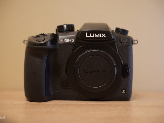 Panasonic Lumix DC-GH5 body.