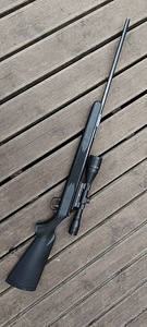 Винтовка Diana 31 Panther (1 фото из 5)