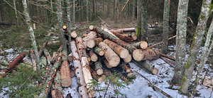 Küttepuud (1 foto / 1)