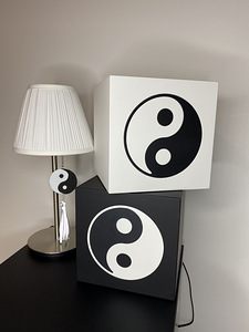 Hoiupõrsas yin yang (1 foto / 10)