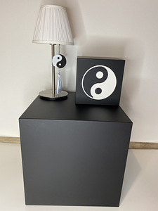 Hoiupõrsas yin yang (2 foto / 10)