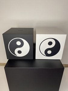 Hoiupõrsas yin yang (6 foto / 10)