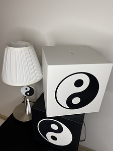 Hoiupõrsas yin yang (9 foto / 10)