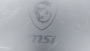 Mängu monitor MSI (7 foto / 8)