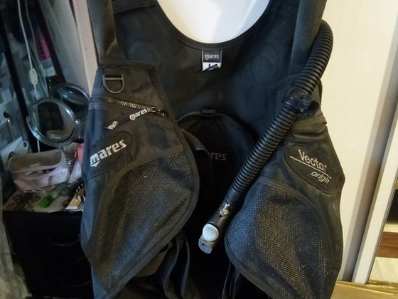 Vest .