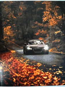 Maalimine numbrite järgi (2 foto / 10)