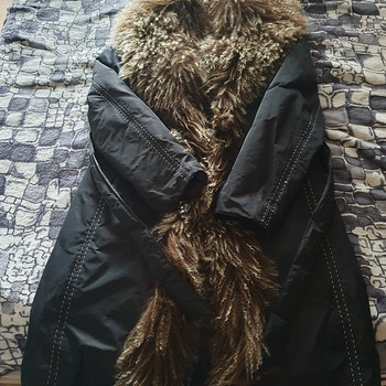 Talvejakk