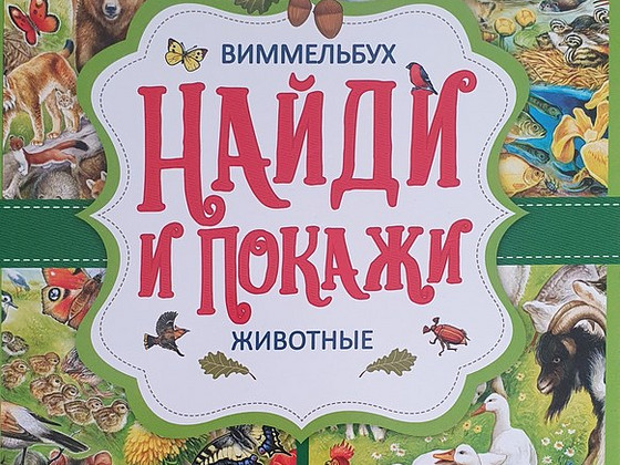 Найди и покажи, виммельбух, детские книги