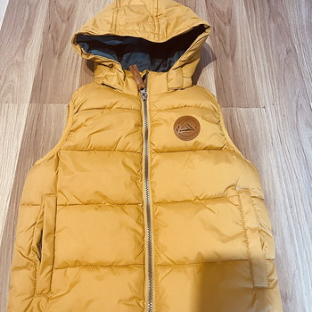 Uus vest