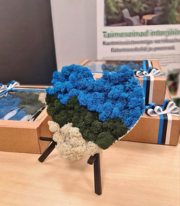 Samblast südamed lipuvärvides- tükike loodust siseruumi! (5 foto / 5)