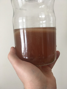 Kombucha, kambucha (2 foto / 7)