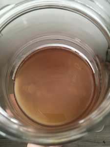 Kombucha, kambucha (3 foto / 7)