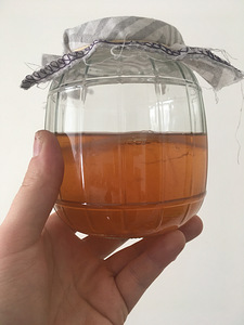 Kombucha, kambucha (4 foto / 7)