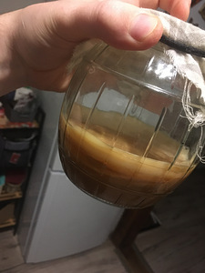 Kombucha, kambucha (7 foto / 7)