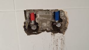 Sanitaartehnilised teenused (6 foto / 6)