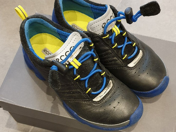 Ecco biom 29