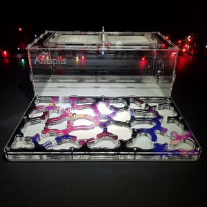 Sipelgafarm (6 foto / 9)