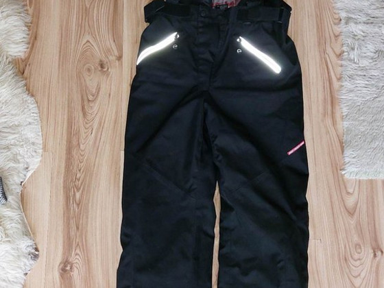 Брюки lynx Deep Freeze Gear, L