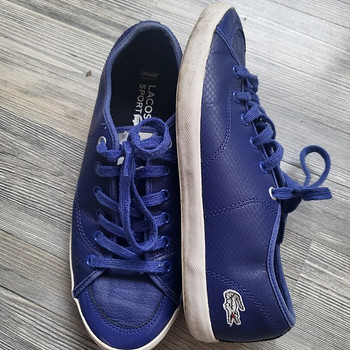 Кроссовки lacoste 37 (SMART FREE)