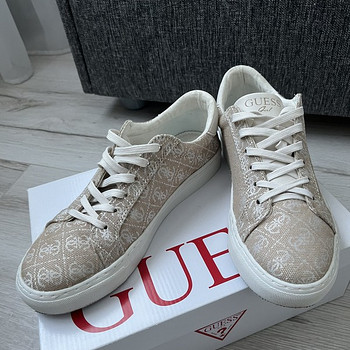 Guess kingad