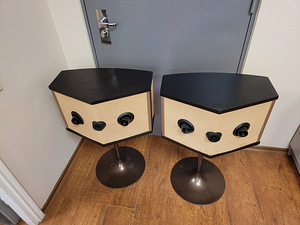Акустическая система Bose серии 901 V. (2 фото из 8)