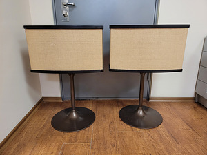 Акустическая система Bose серии 901 V. (3 фото из 8)