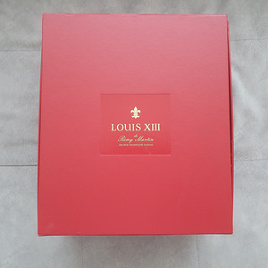 LOUIS XIII de Remi Martin GRANDE CHAMPAGNE COGNAC (1 foto / 8)