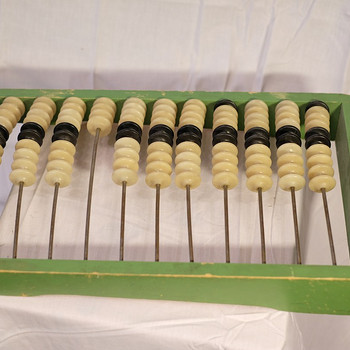 Loenduskoda abacus