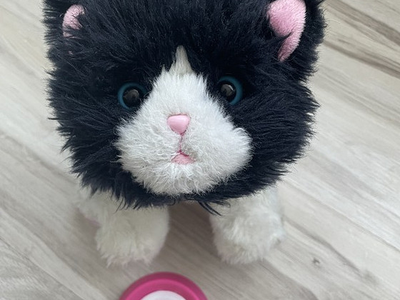 Little Live Pets kassipoeg