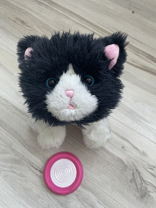 Little Live Pets kassipoeg (1 foto / 3)
