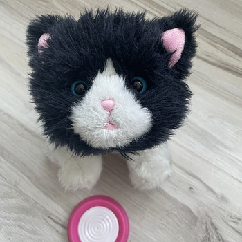 Little Live Pets котенок