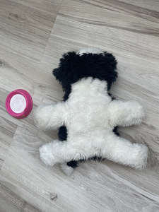 Little Live Pets kassipoeg (2 foto / 3)