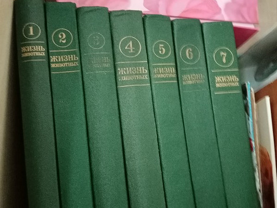 Книги