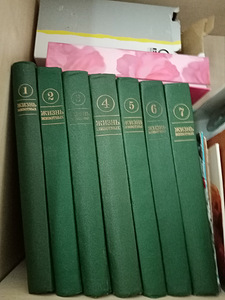 Книги (1 фото из 1)