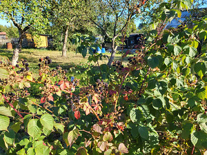 Toompihlaka tee 1, Ülgase, Jõelähtme vald, Harjumaa (2 фото из 14)