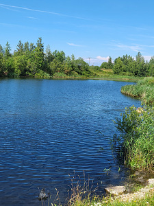 Toompihlaka tee 1, Ülgase, Jõelähtme vald, Harjumaa (13 фото из 14)