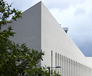 OSLO perlweiss glatt sile NF, 240x14x71 мм, клинкерная плитка (3 фото из 5)