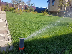 Автоматический полив (irrigation system) (2 фото из 10)