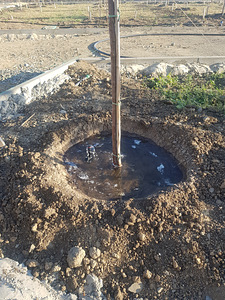 Автоматический полив (irrigation system) (4 фото из 10)