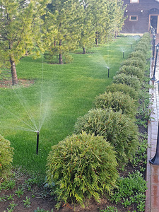 Автоматический полив (irrigation system) (7 фото из 10)
