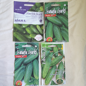 Рассада (3 фото из 4)